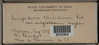 Image Associated With the Occurence